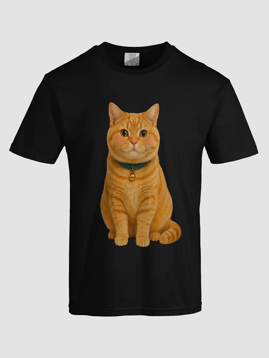 orange cat product image (5)