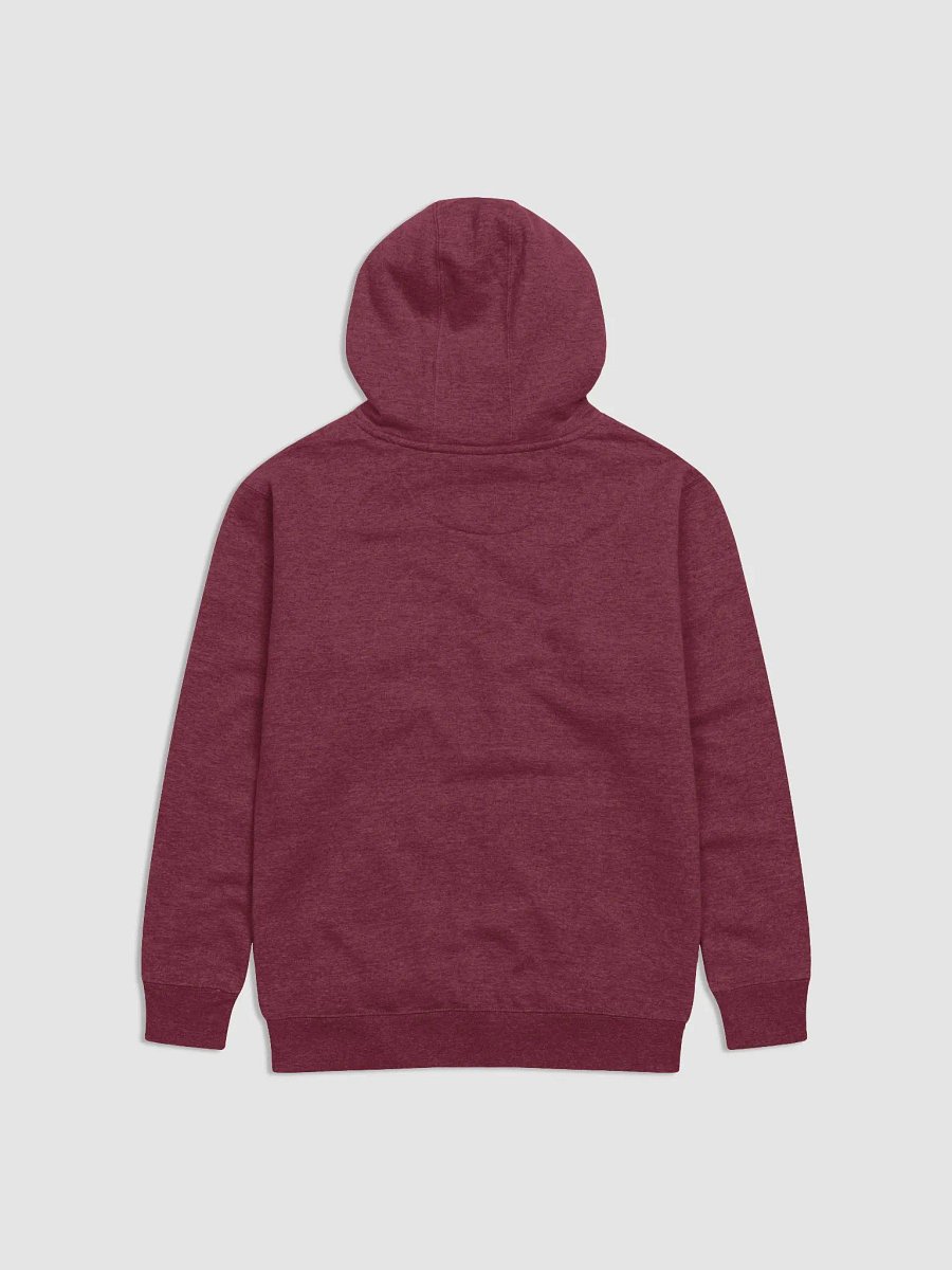 Cure Ignorance Not Autism Hoodie product image (4)