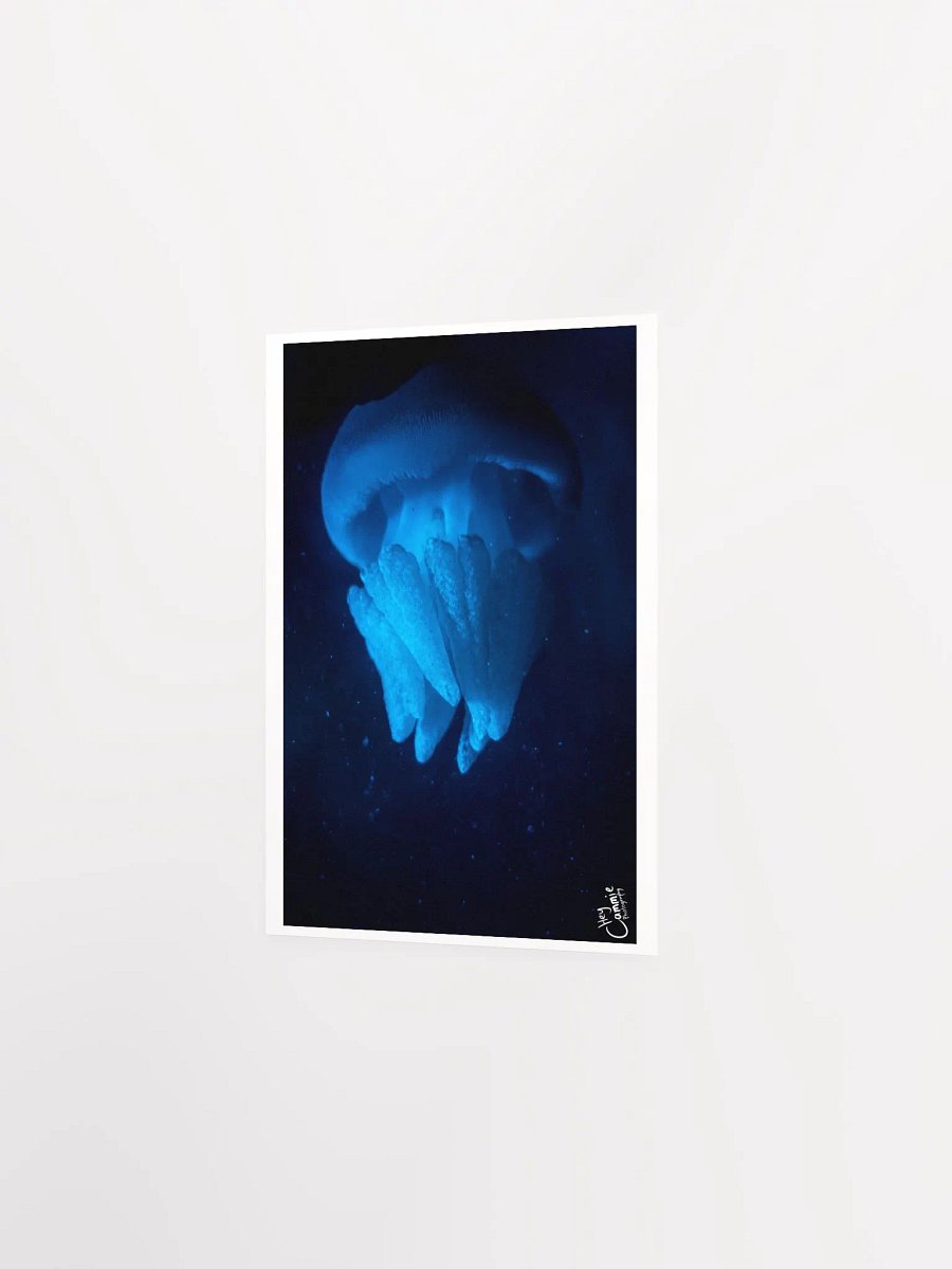 Shipwreak - Print product image (2)