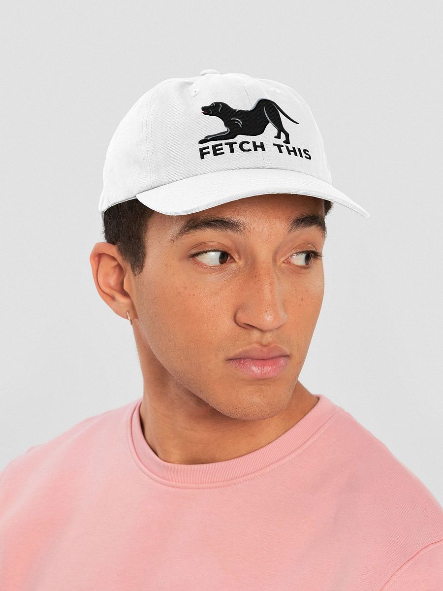 Fetch This Classic Dad Hat(Embroidered) of a Labrador Retriever(Black) product image (43)