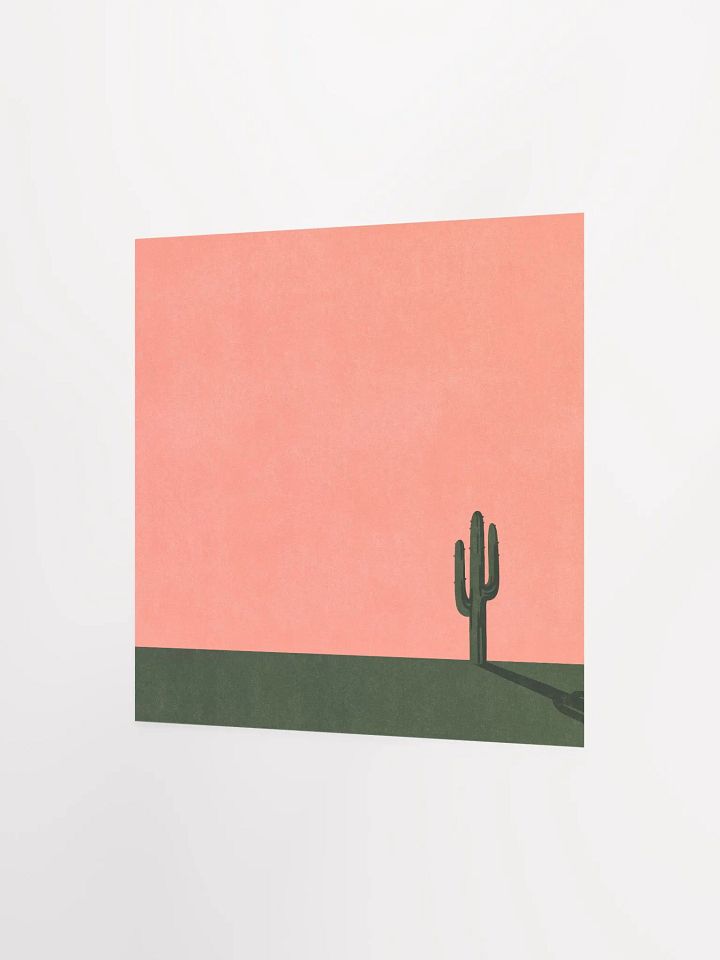 Cactus product image (2)