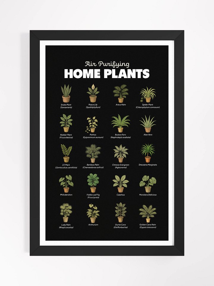 Air Purifying Home Plants Framed Art Print product image (1)
