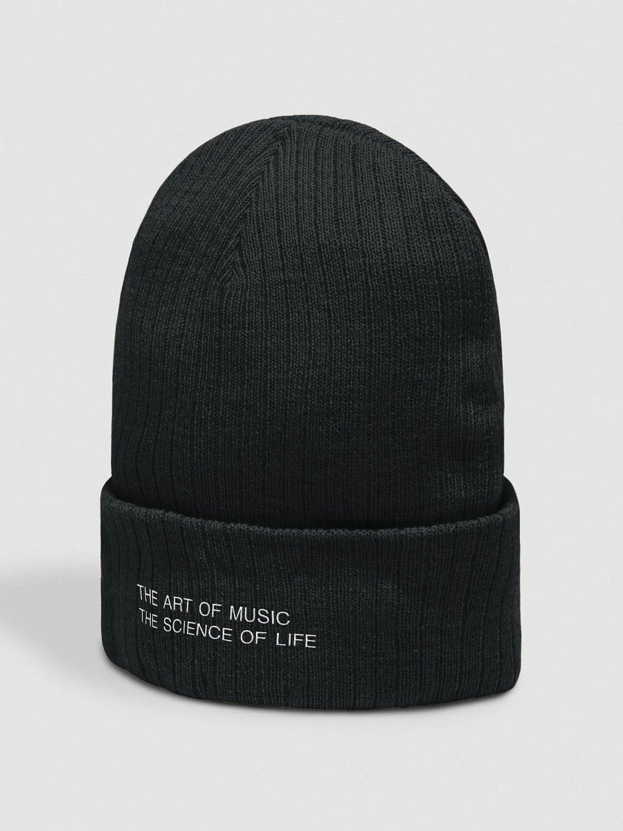 Eco-Friendly Atlantis Ribbed Beanie product image (2)