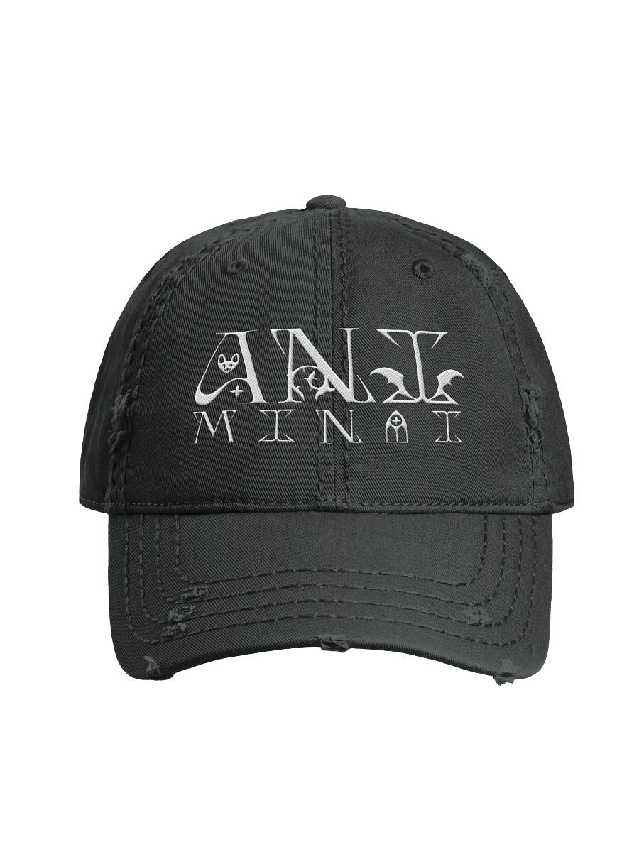 Embroidered Ani Logo Distressed Hat product image (2)