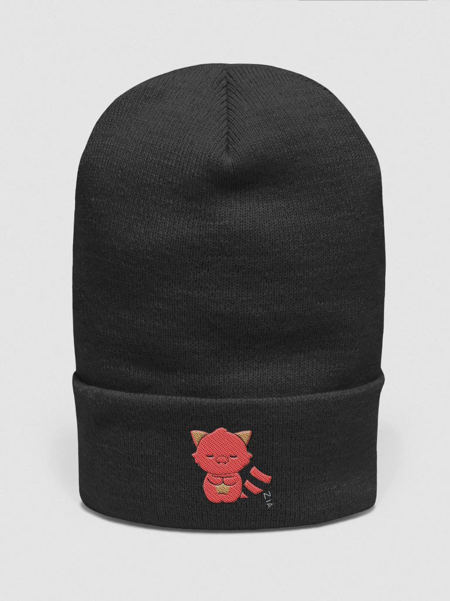 beaniez product image (1)