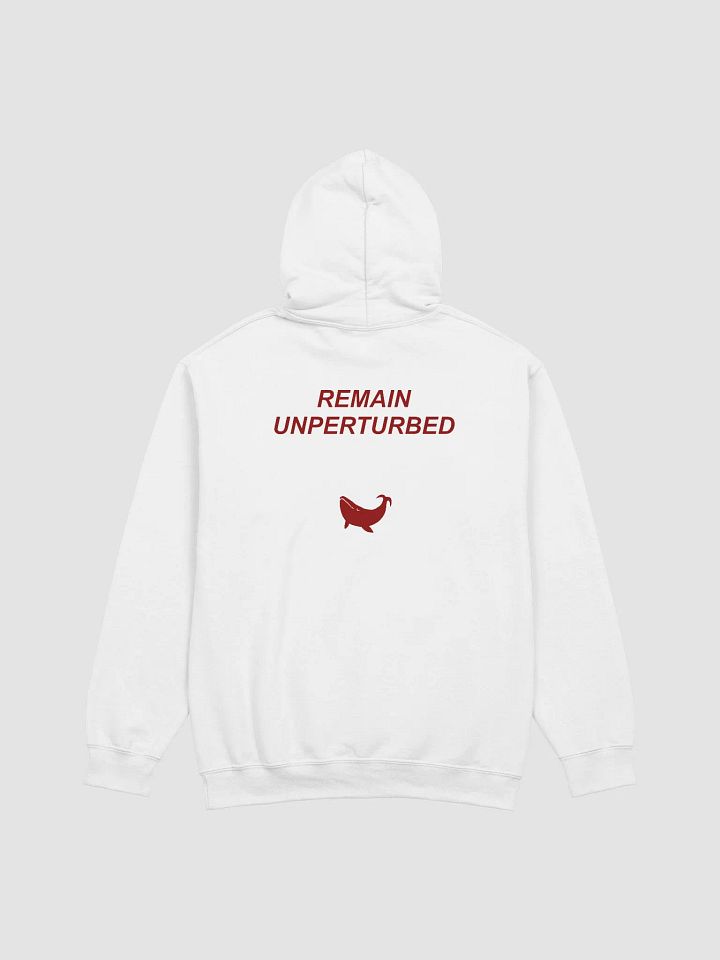 UNPERTURBED HOODIE product image (2)