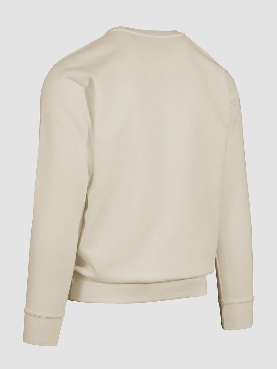 Emotional Support Kangaroo Premium Sweatshirt product image (35)