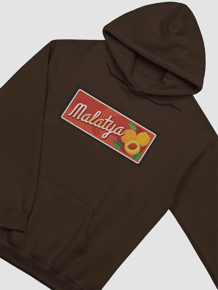 Vintage Malatya Apricot Design Hoodie product image (13)
