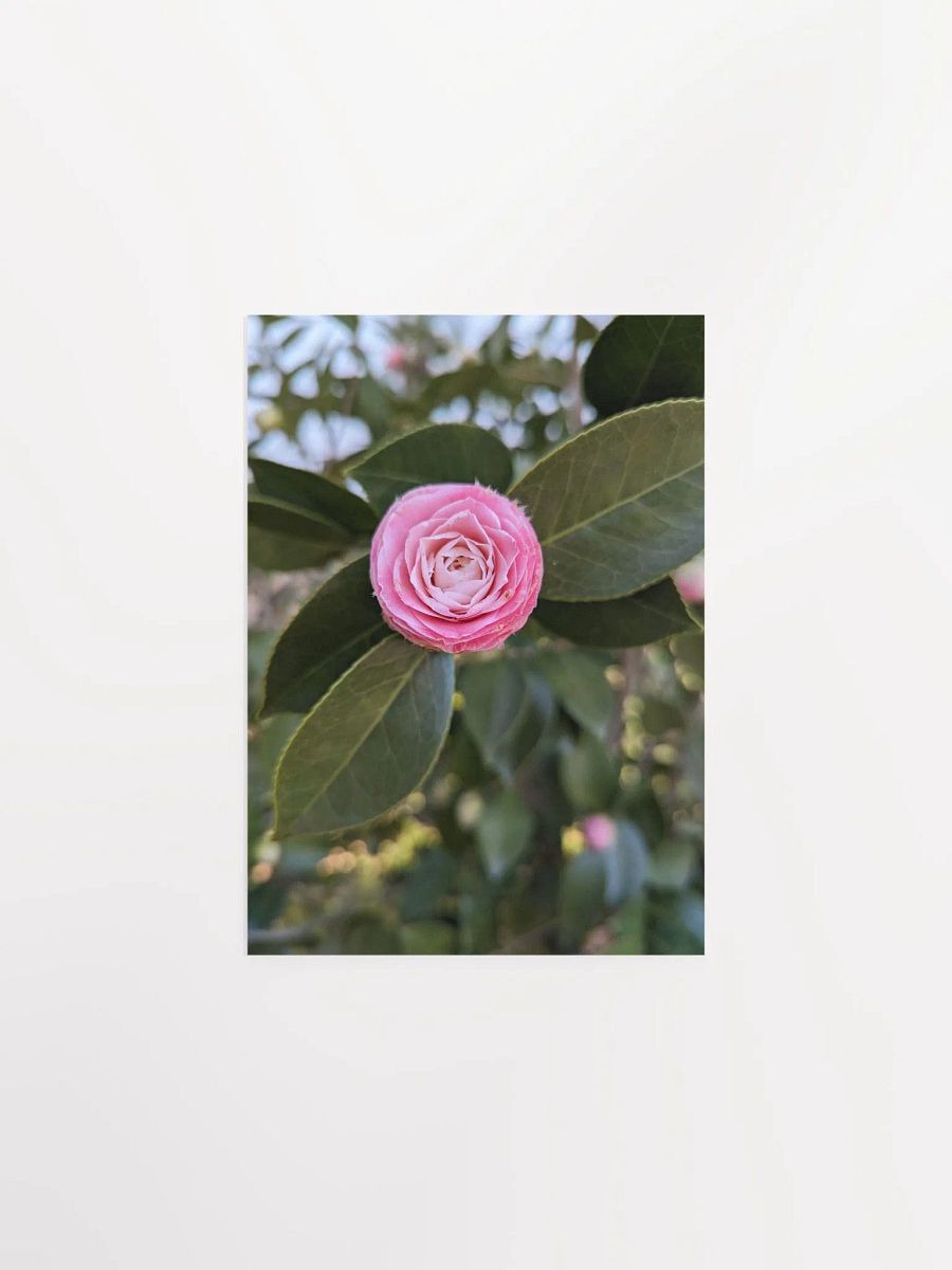 Blooming Beauty Matte Poster product image (2)