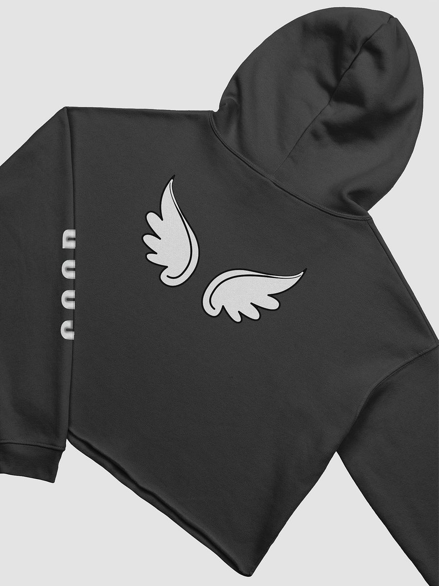 DV Dillon's Angels Crop Hoodie product image (13)