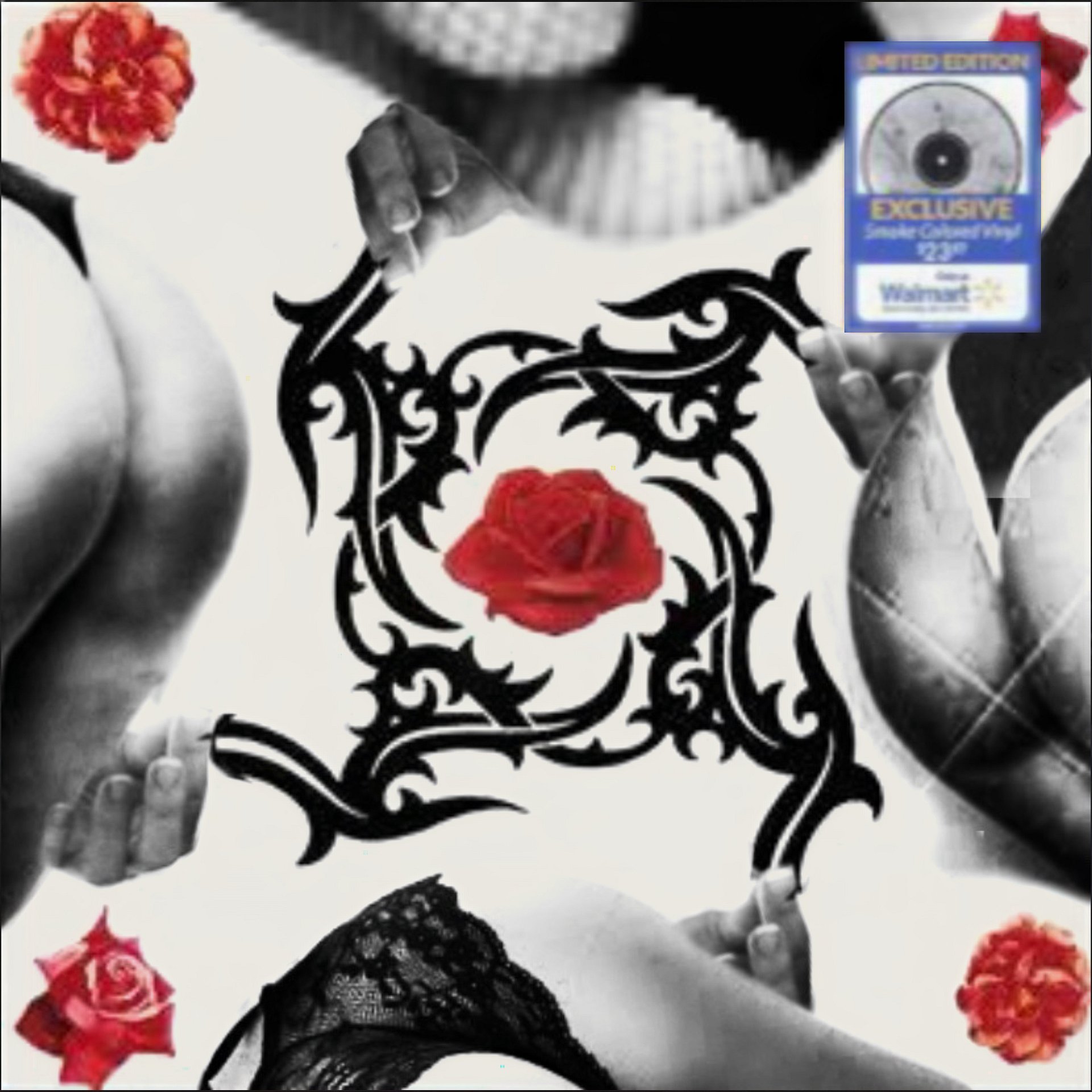 Prapanicë Bull (Music Video) 18+ product image (2)