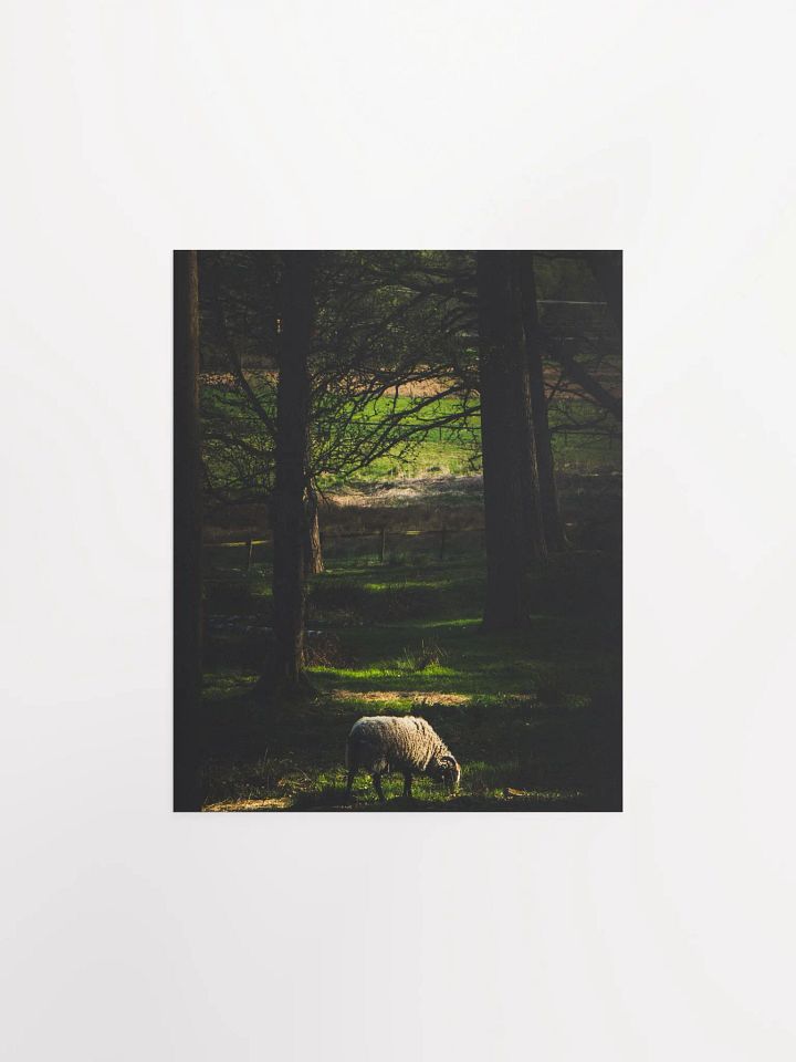 The Goat product image (2)