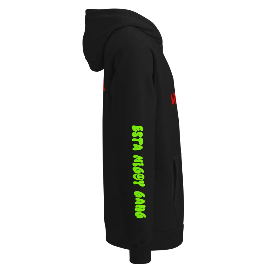 Lilbizzytv limited edition underarmor Hoodie! product image (11)
