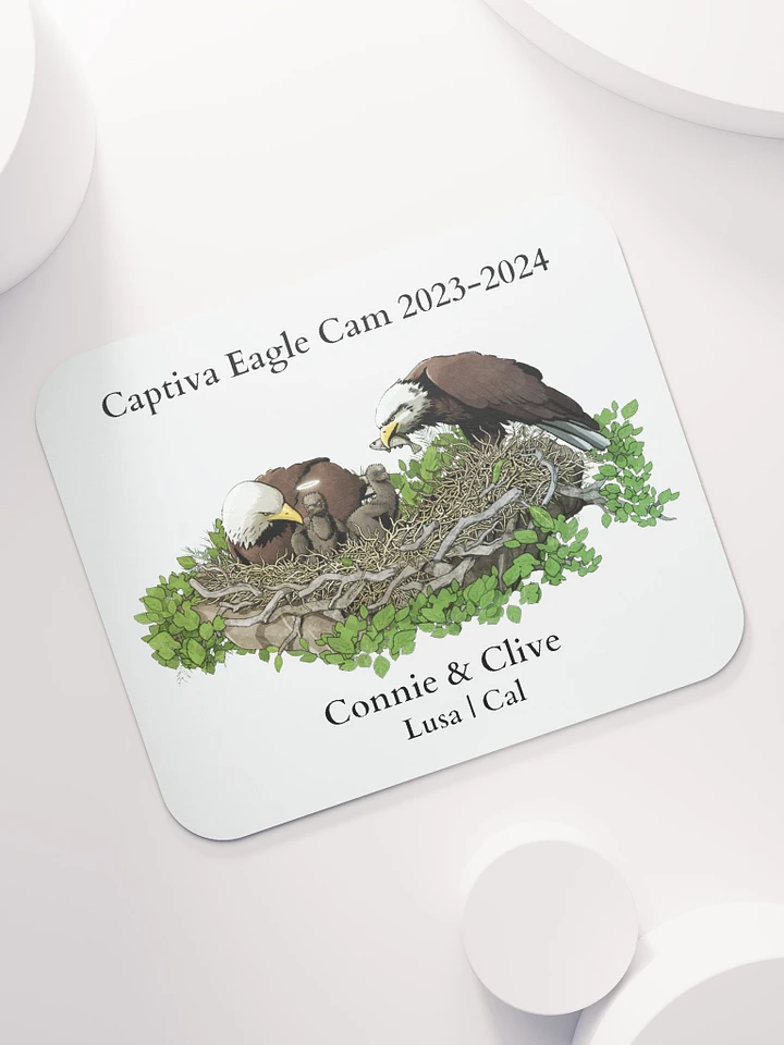 Captiva Eagle Cam 2023-2024 Mouse Pad product image (1)