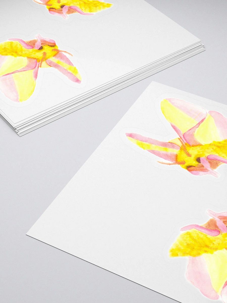 Rosy Maple Moth Sticker (x2) product image (4)