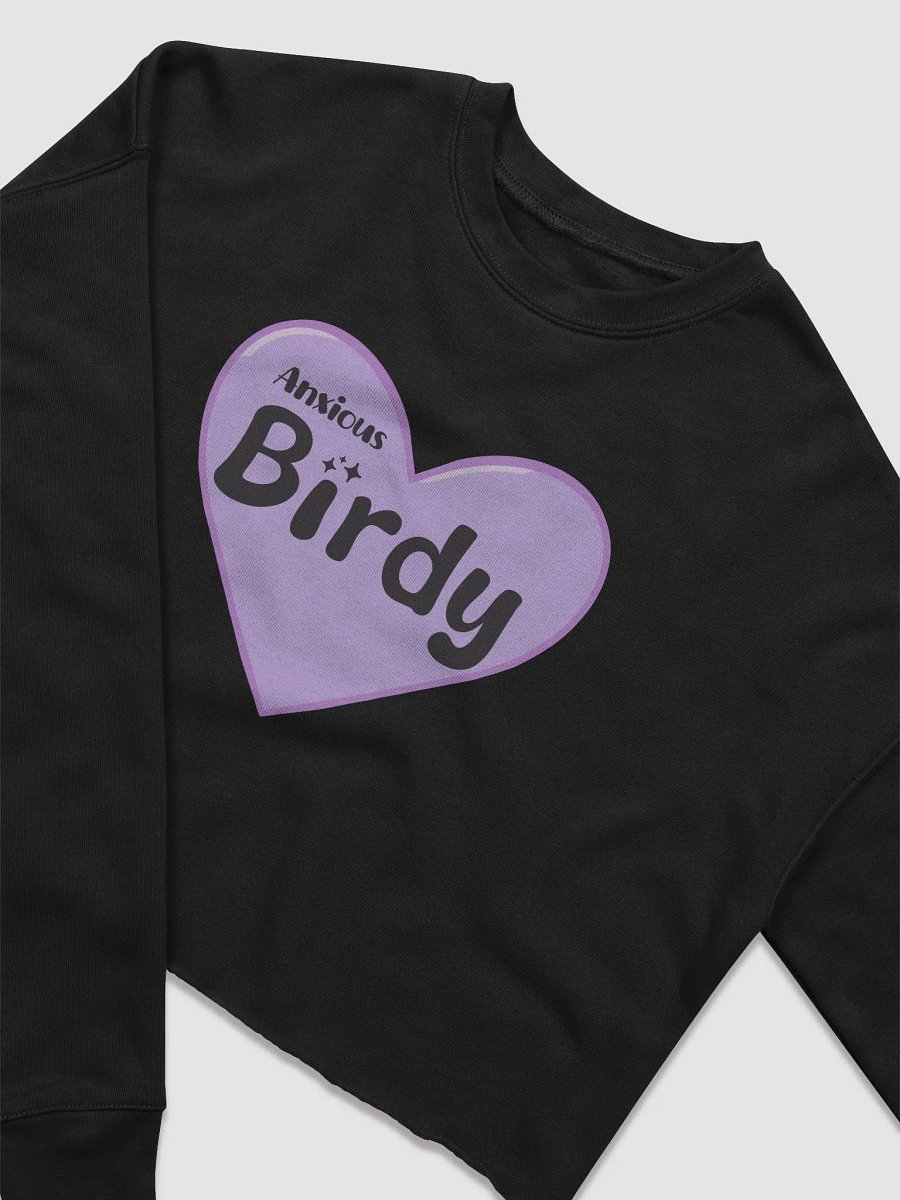 Anxiousbirdy Crop Long Sleeve product image (11)
