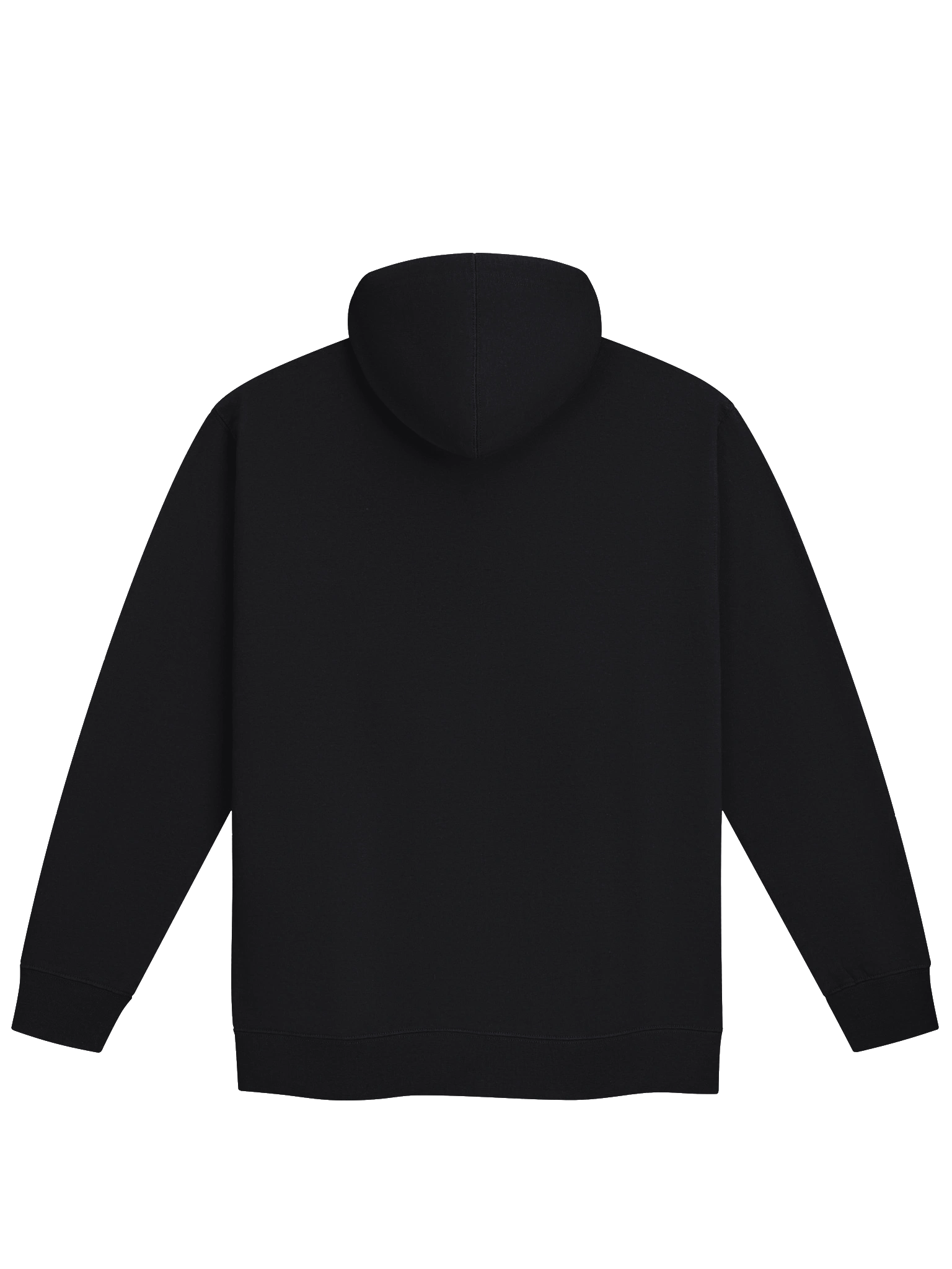 B1G_Jano Text Logo Zip Hoodie product image (4)