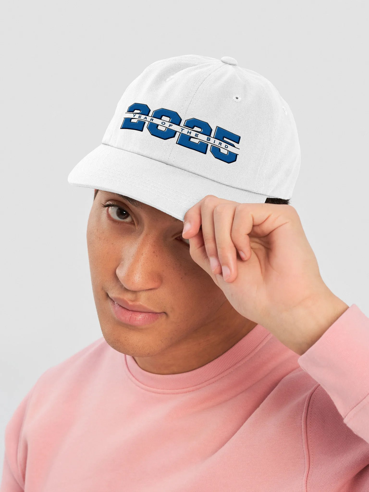 Blue "Year of the Bird" Cap product image (1)