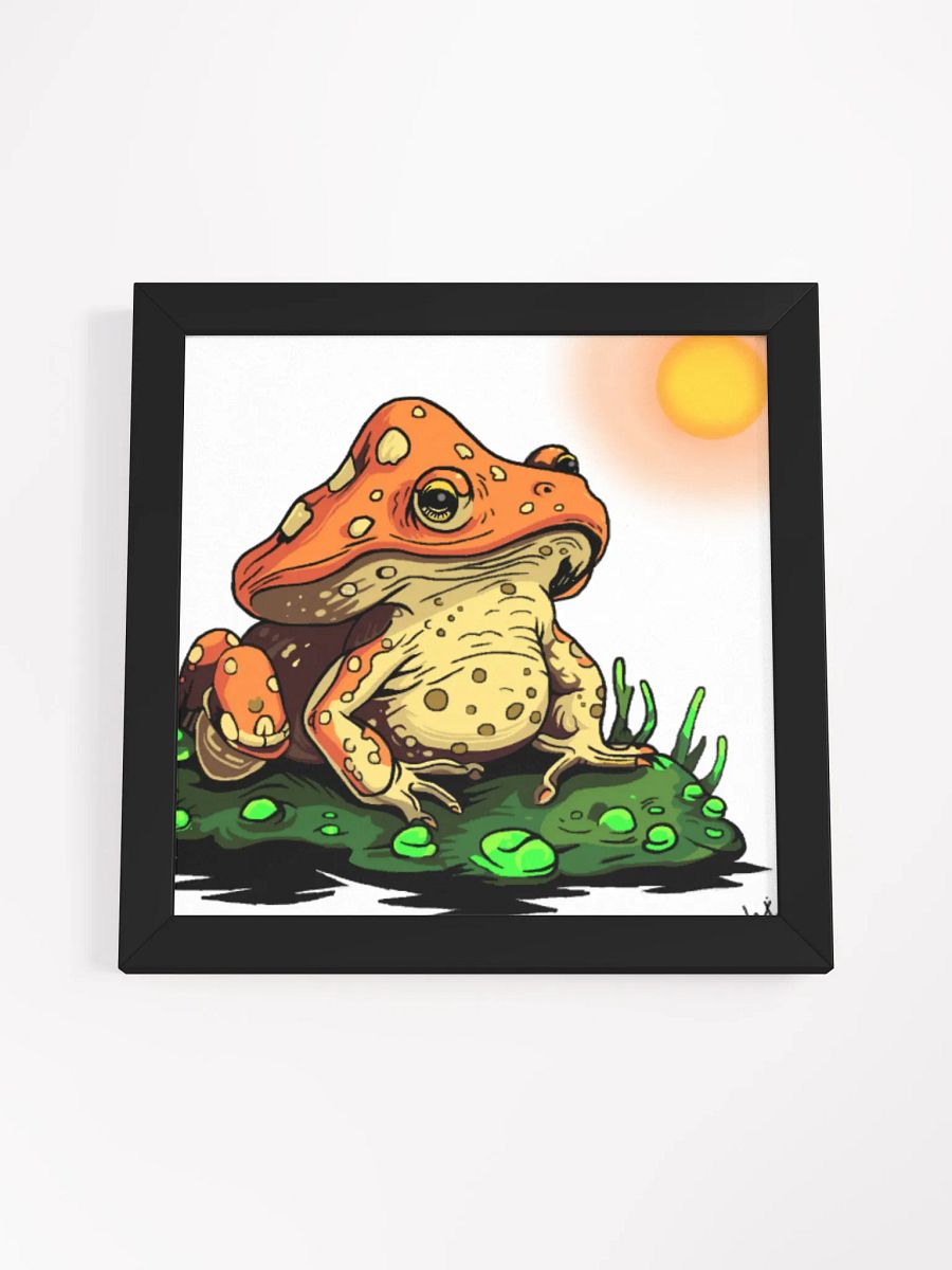 Mushroom Toad product image (19)