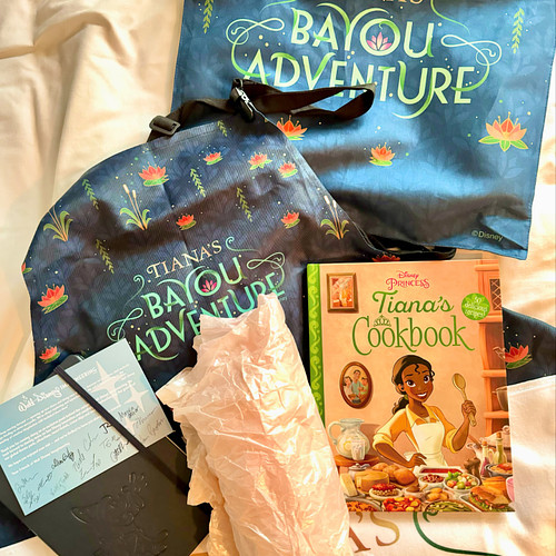 🎉✨ Enter a chance to WIN this very special Tiana’s Bayou Adventure prize package 🤩

🐸👑 Dive into the magic with our WDW Radio...