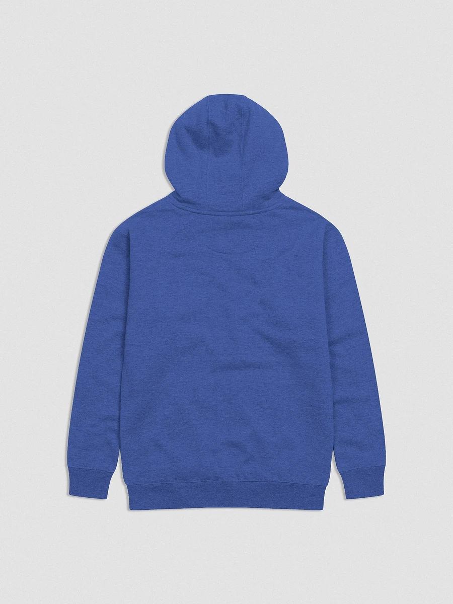 Maxroll Embroidered Hoodie product image (21)