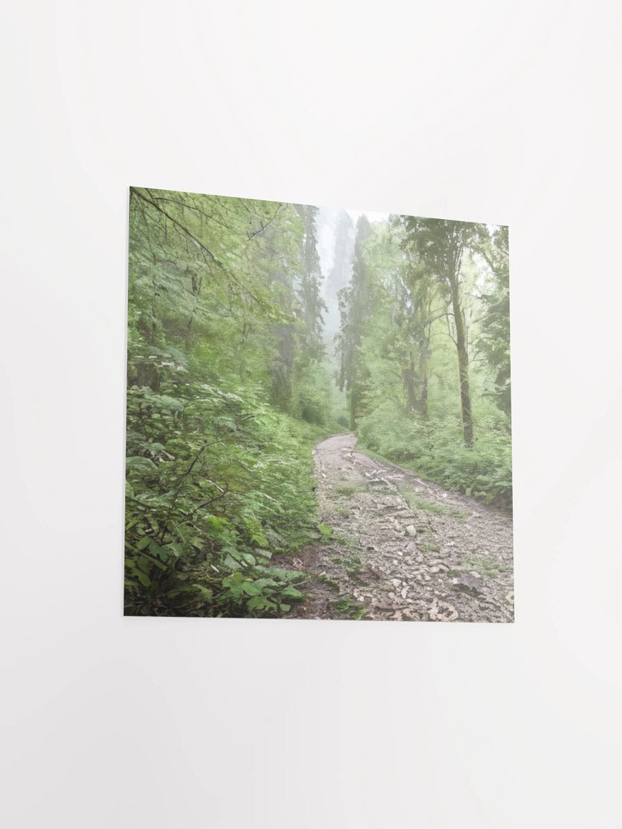 Enchanted Forest Path Poster product image (15)