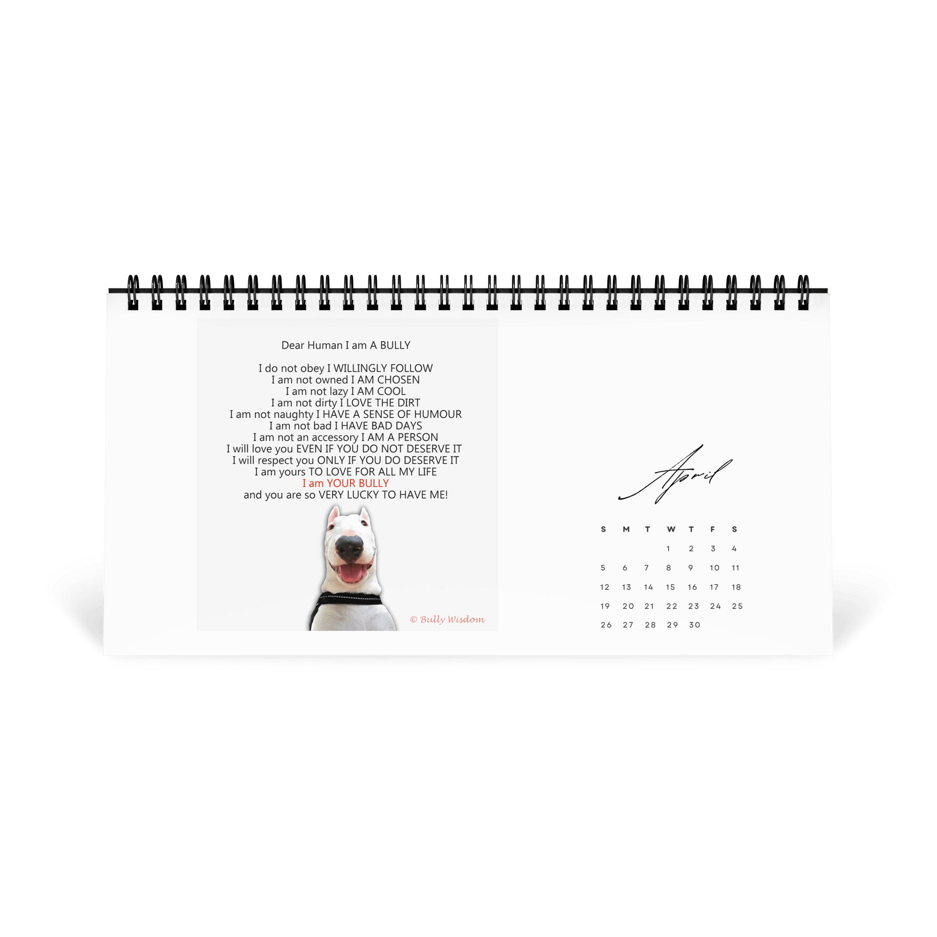 Bull Terrier- Calendar 2026 product image (1)