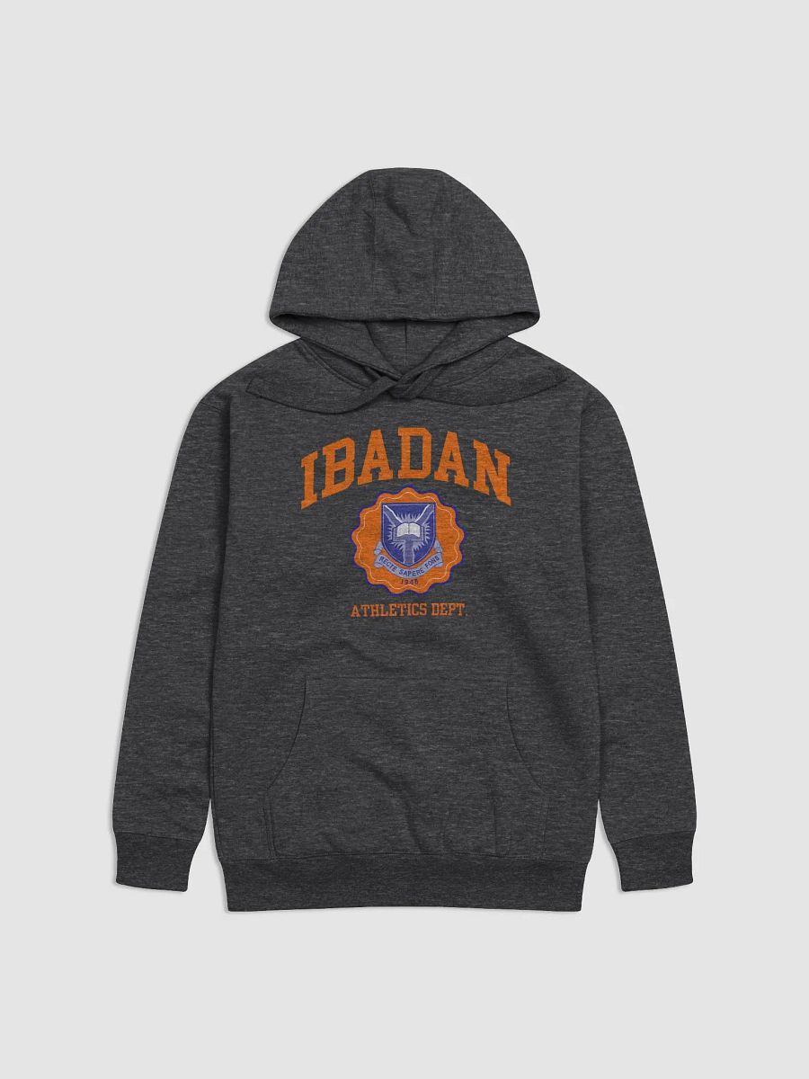IBADAN Athletics Department Premium Hoodie product image (2)
