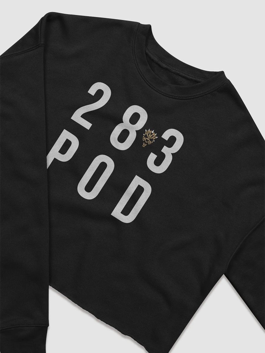 The 28 to 3 Podcast 