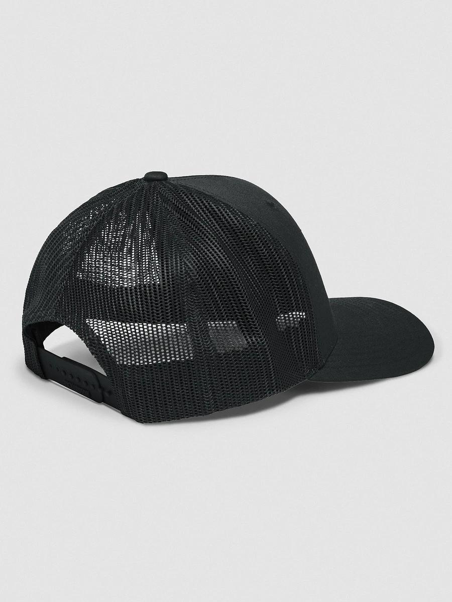 Beyond Sober | Animal Style Hat product image (3)