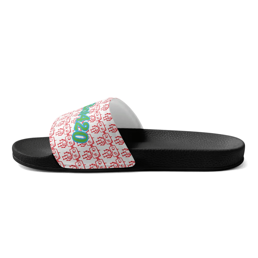 bot slides product image (11)