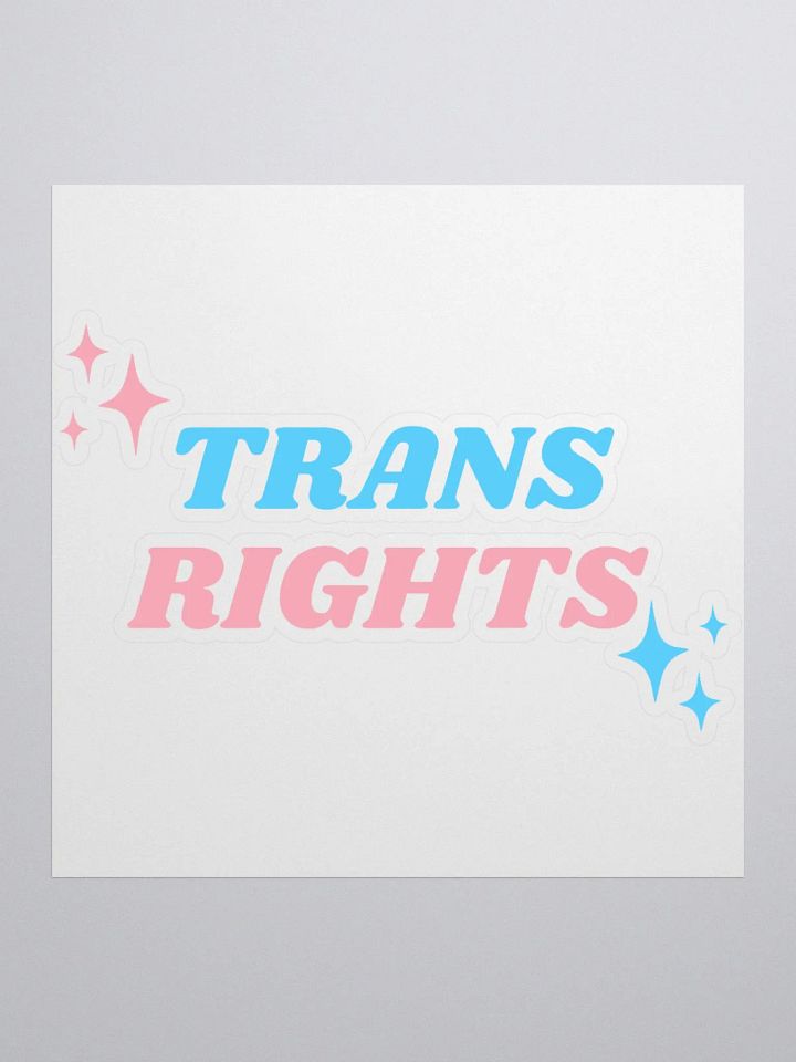 Trans Rights Sticker product image (1)