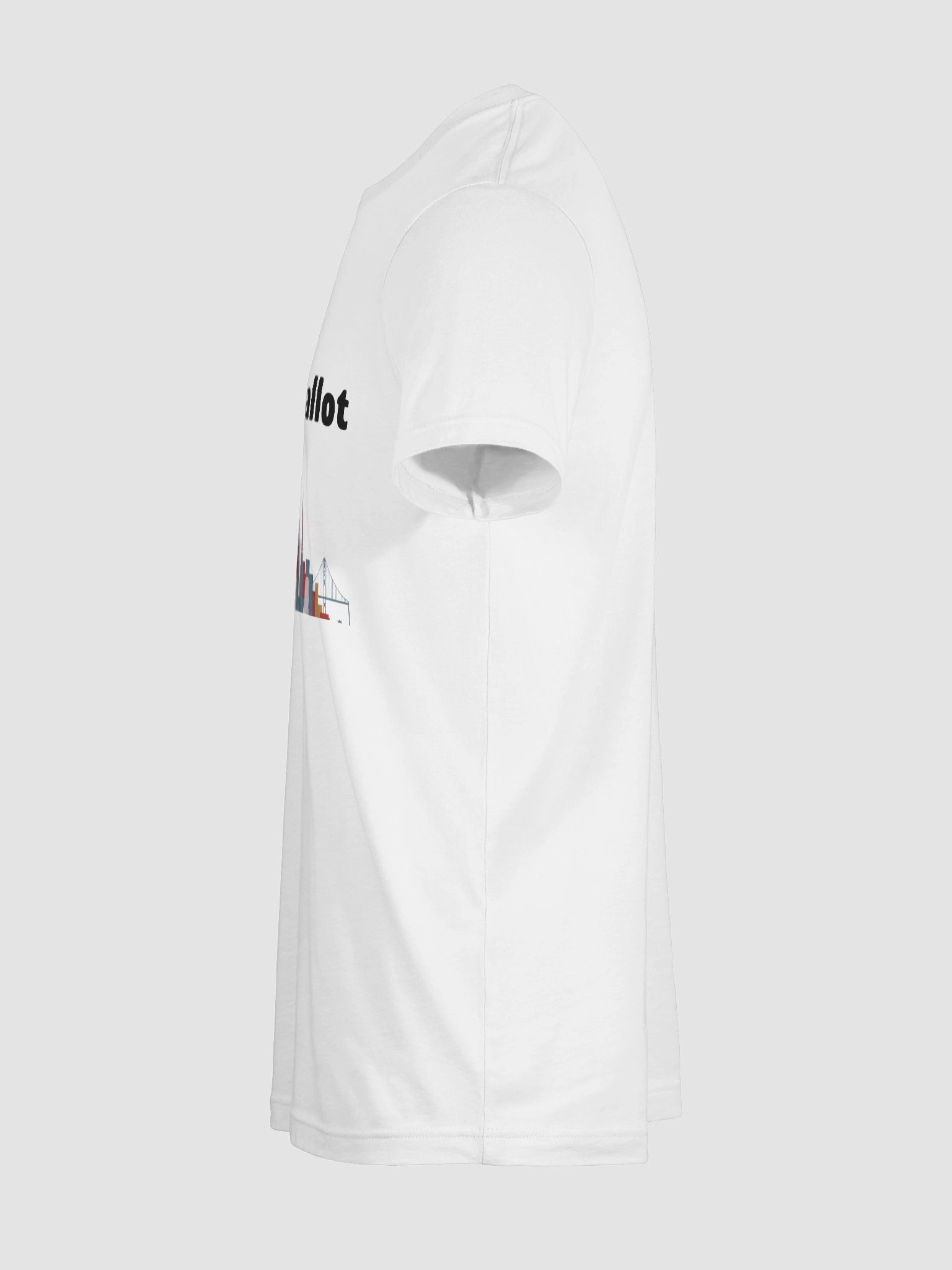 Downballot 2025 Logo Tee Light Colors product image (113)
