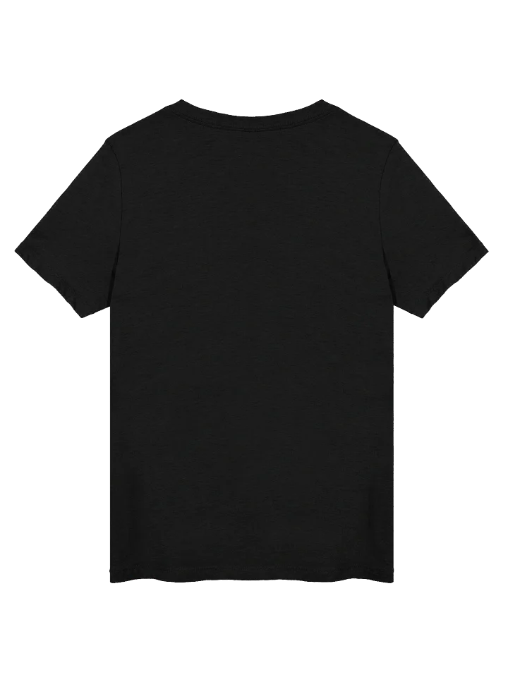 The Professional - Women's V-Neck product image (5)