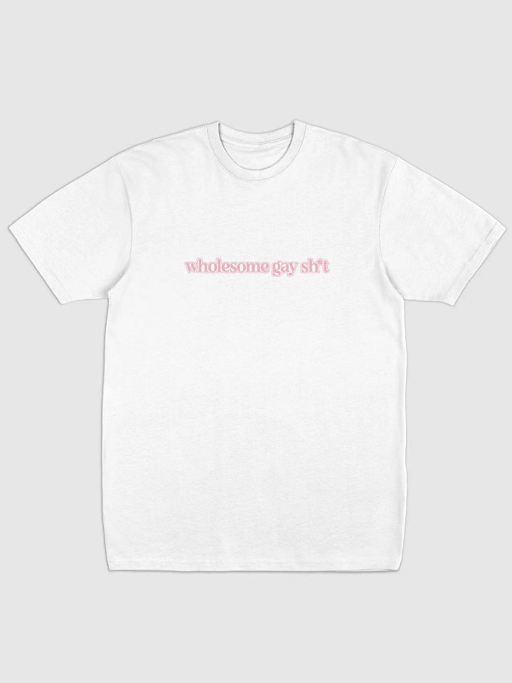 Wholesome Gay T product image (1)