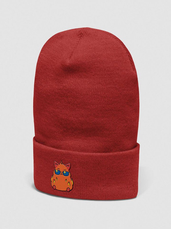 Atsu Beanie product image (2)