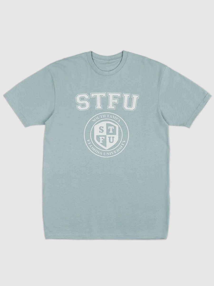 STFU Men's Premium Heavyweight Tee / Dark Colors product image (1)