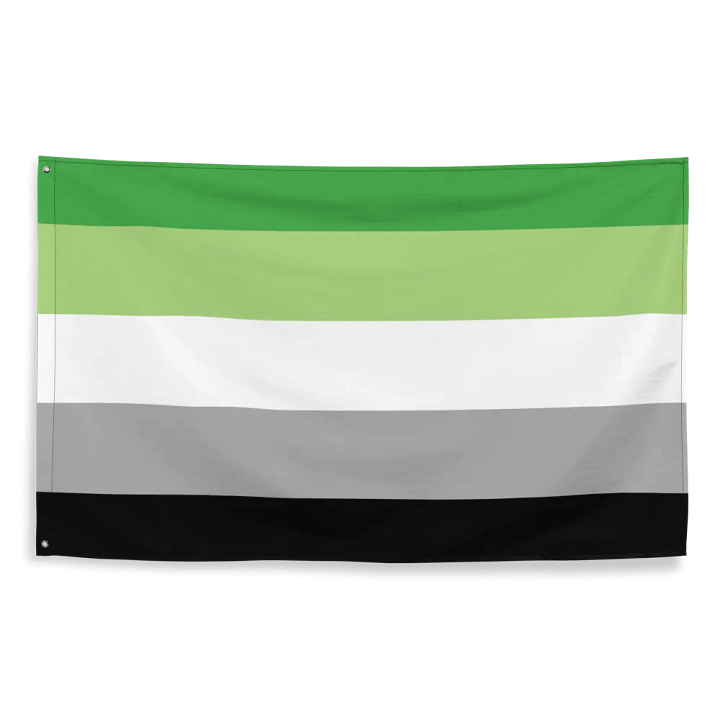 Aromantic Flag product image (2)