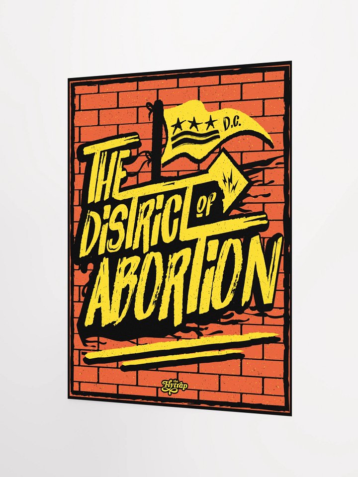 The District of Abortion 12x16 poster product image (2)