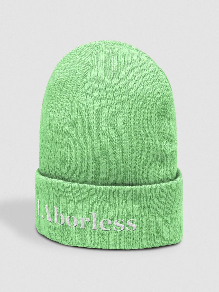 Eco Ribbed Knit Beanie: Atlantis Edition product image (9)