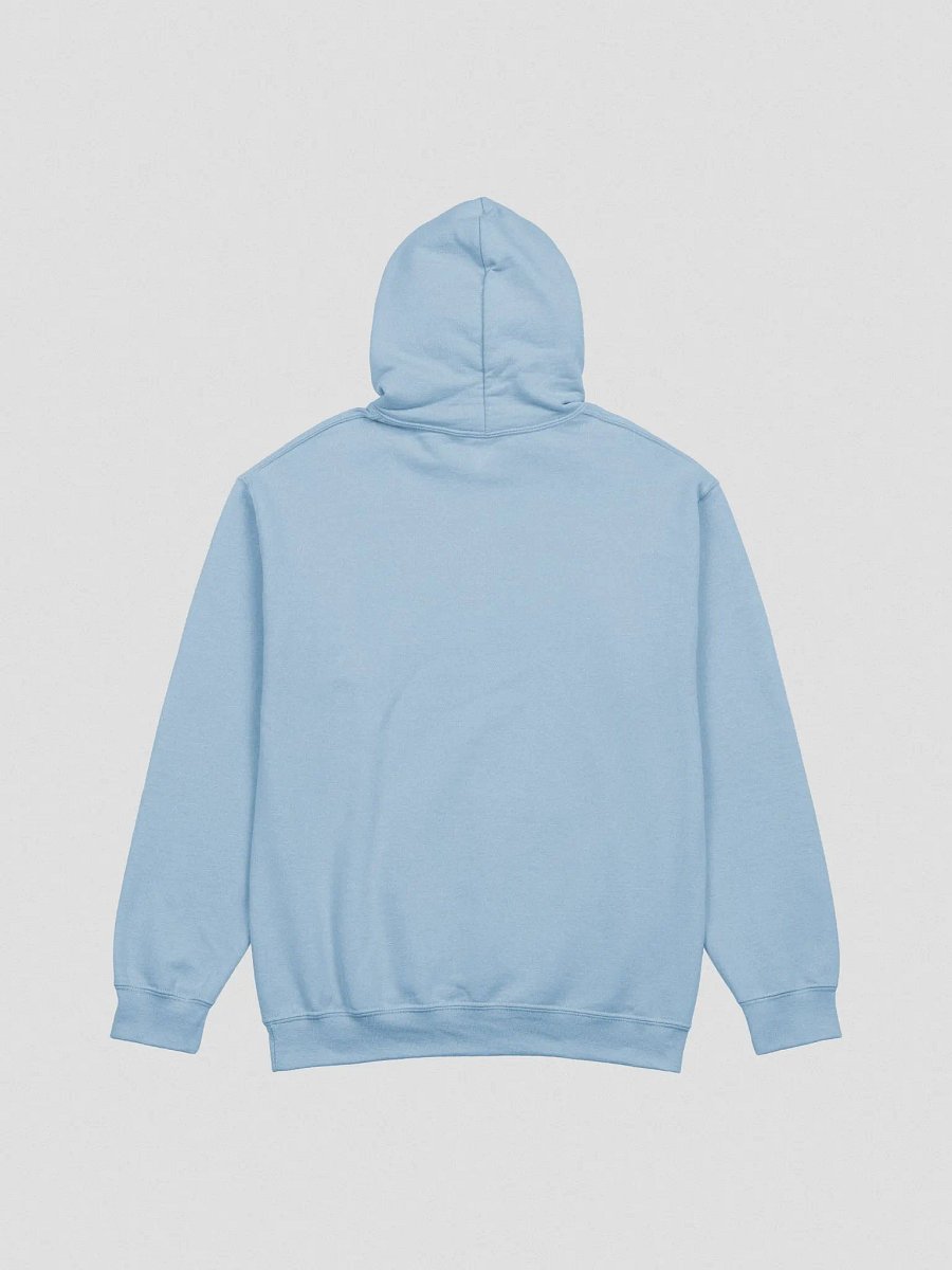 Bunny Hoodie! product image (4)