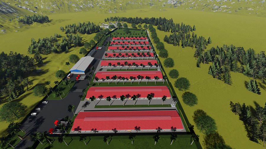 10 acres caged poultry layout product image (3)