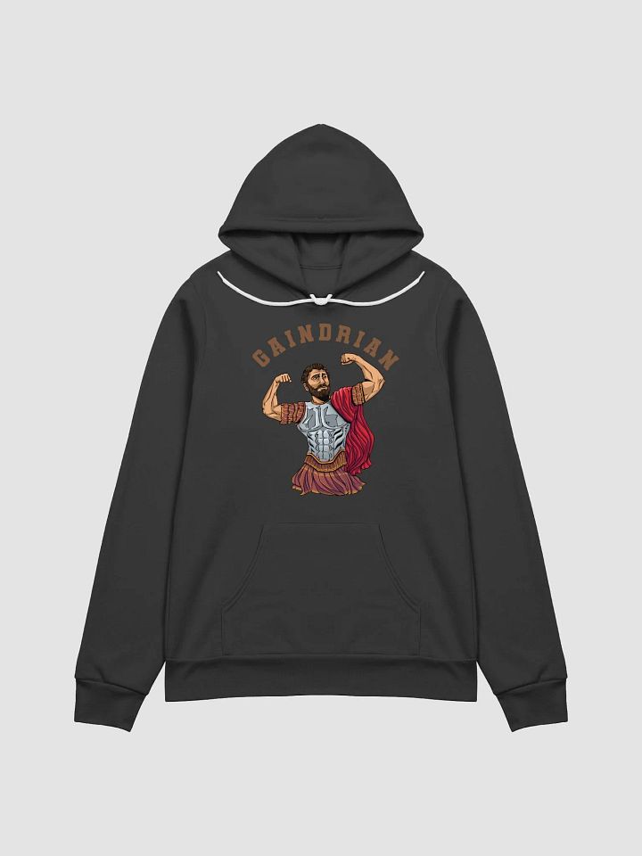 Gaindrian Hoodie product image (4)