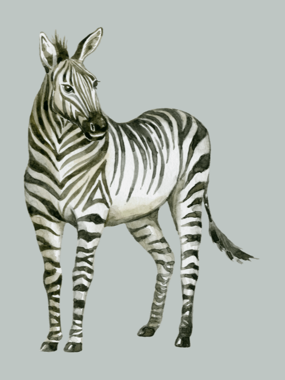 Safari Nursery Wall Prints, Boho Nursery Prints product image (2)