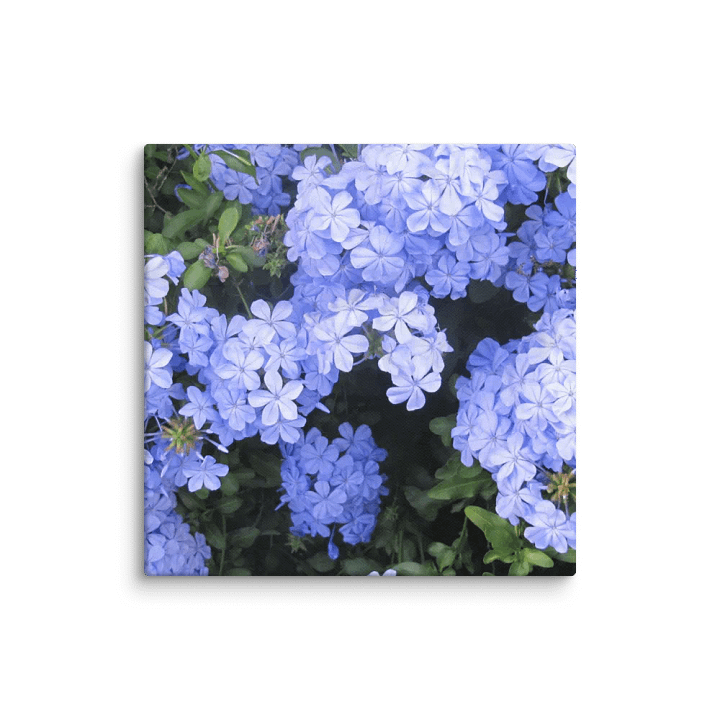 Flower Canvas product image (1)