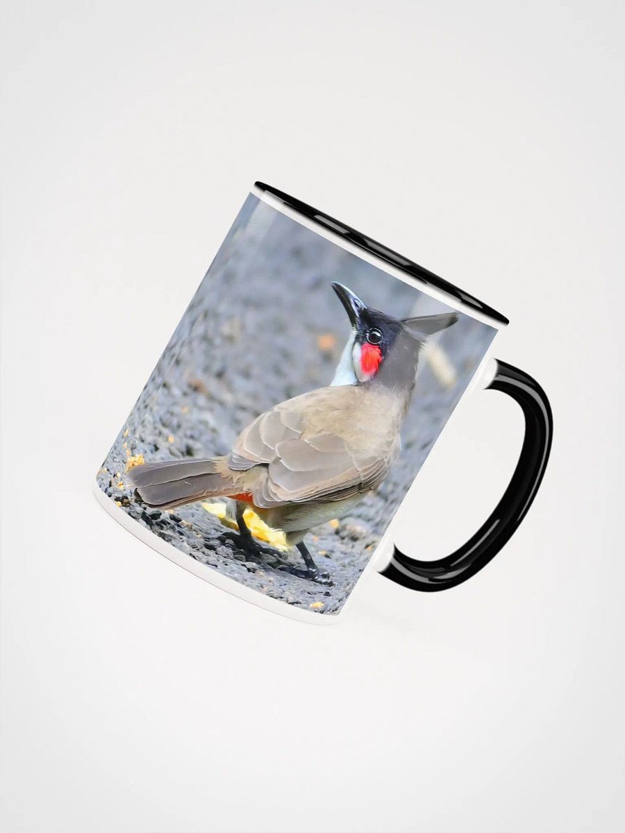 IUCAA Birds Photos product image (4)