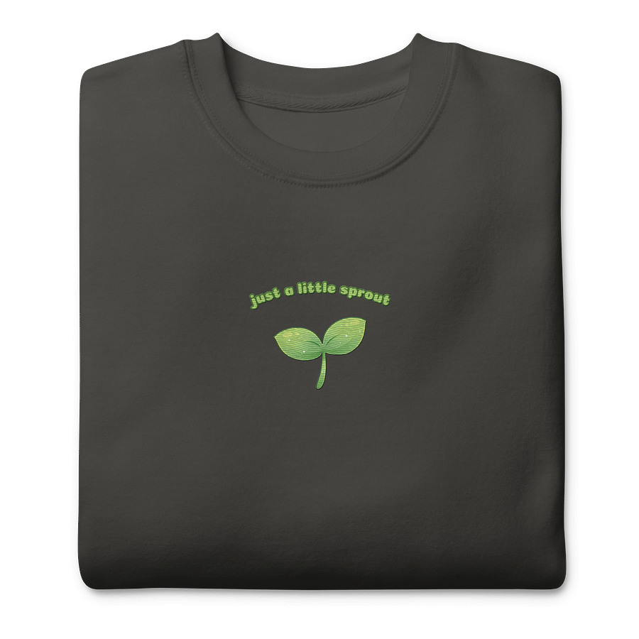 Just a little Sprout Embroidered Sweatshirt product image (6)