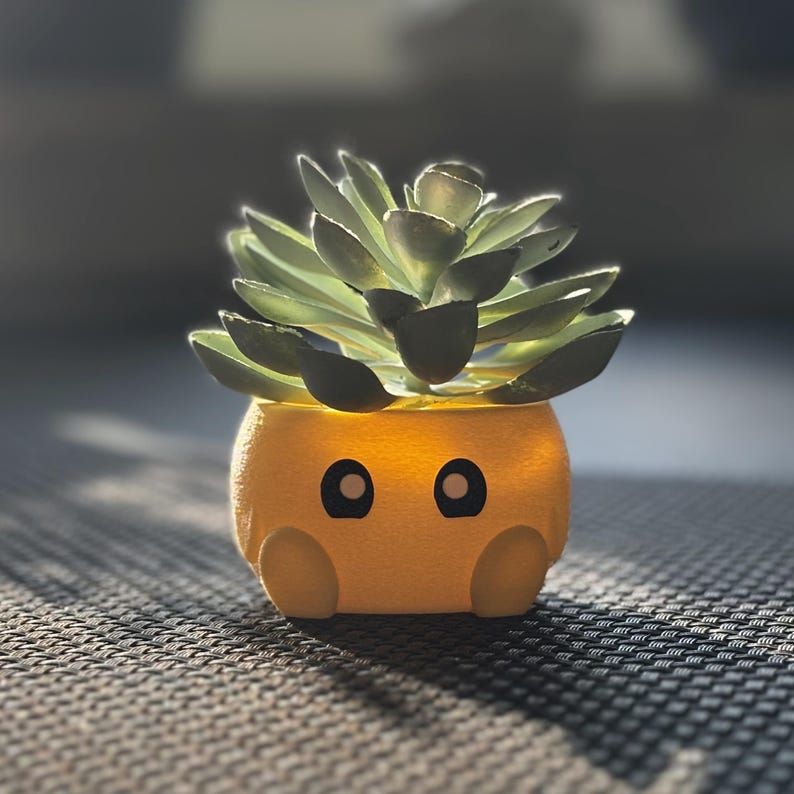 Cute Flower Pots with Expressions product image (5)