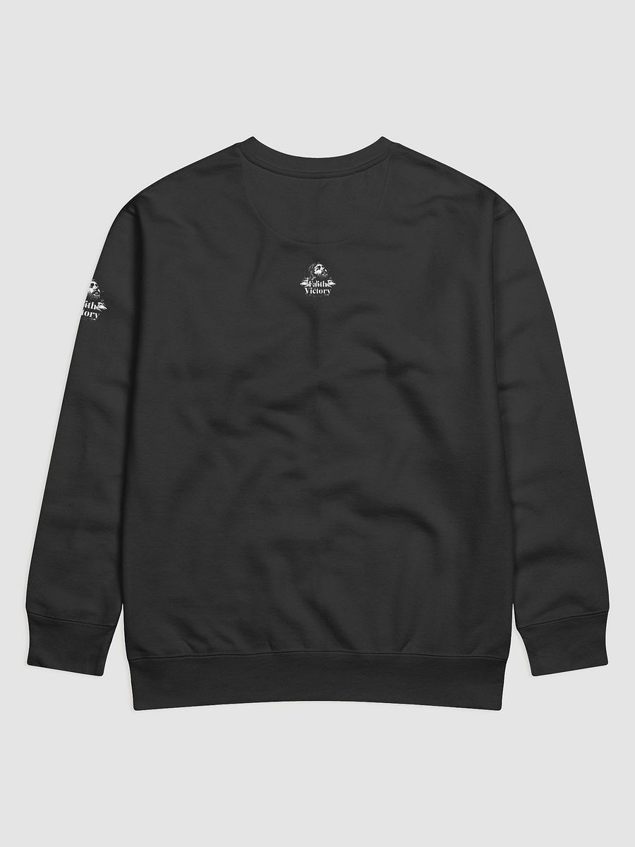 Earth Victory Artistic Sketch Sweatshirt product image (4)