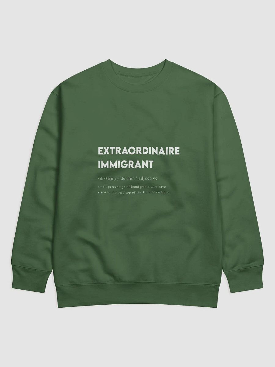 Extra Ordinaire Immigrant Hoodie product image (1)